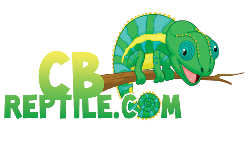 reptile stores online