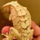 creamsicle crested gecko