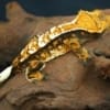 tri color crested gecko