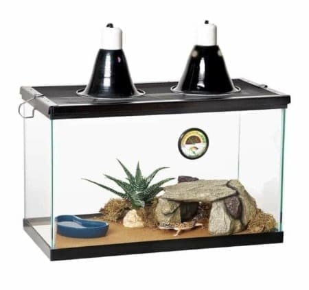 reptile carpet for sale