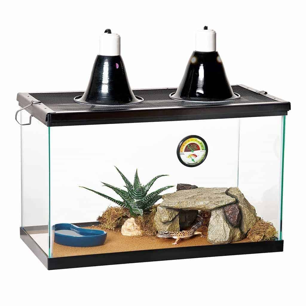 crested gecko tank kit