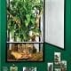 chameleon habitat for sale