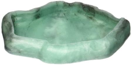 reptile food bowl