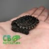 Snapping Turtle