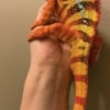 sambava panther chameleon
