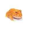 apricot pacman frog for sale