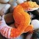 firewater leopard gecko