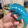 panther chameleon price