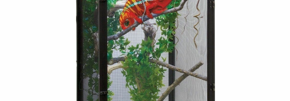 iguana cage iguana cage