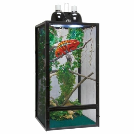 Panther Chameleon setup chameleon cages for sale