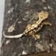 tri color crested gecko for sale