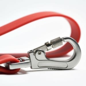 French bulldog puppy leash for sale