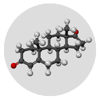 Androstendione Pheromones