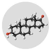 Androsterone cologne sales