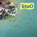 tetra water turtle food sticks