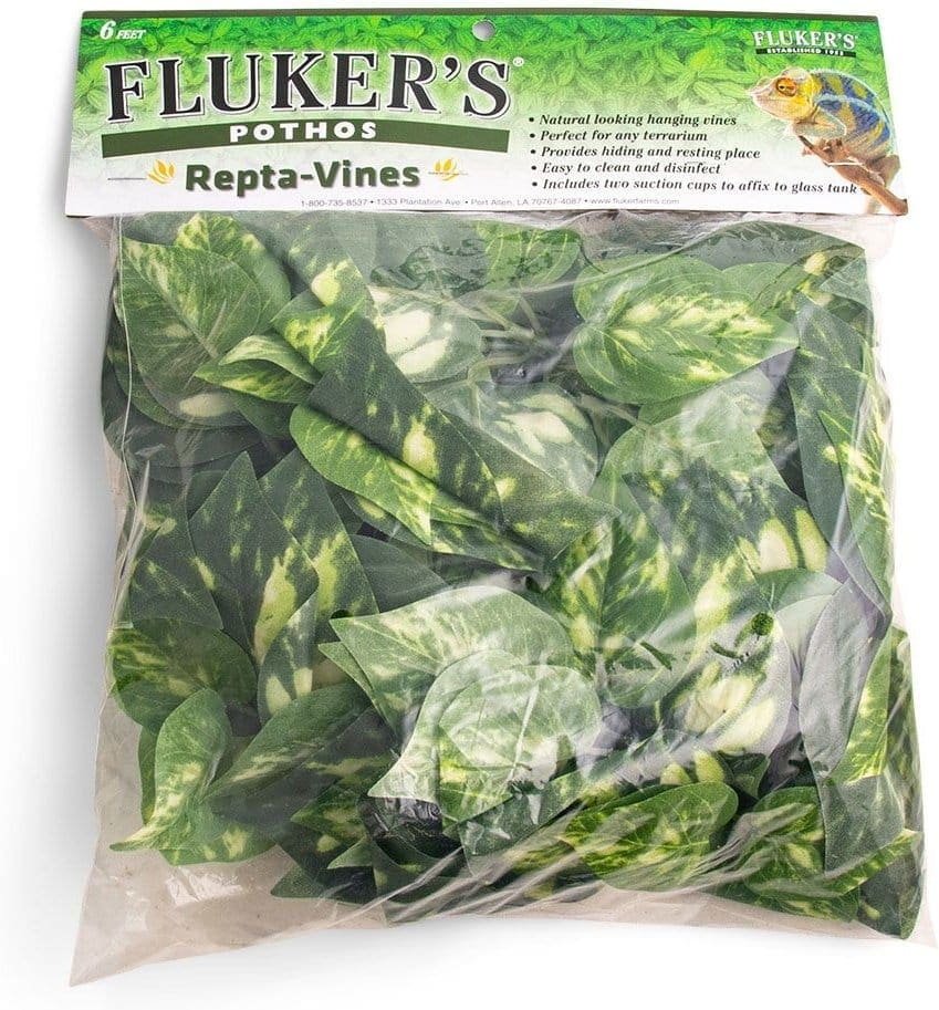 vines for reptiles