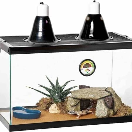 leopard gecko habitat