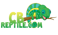 CB Reptile | Geckos for sale | Chameleons for Sale | Ball Pythons | Tegus | Skinks