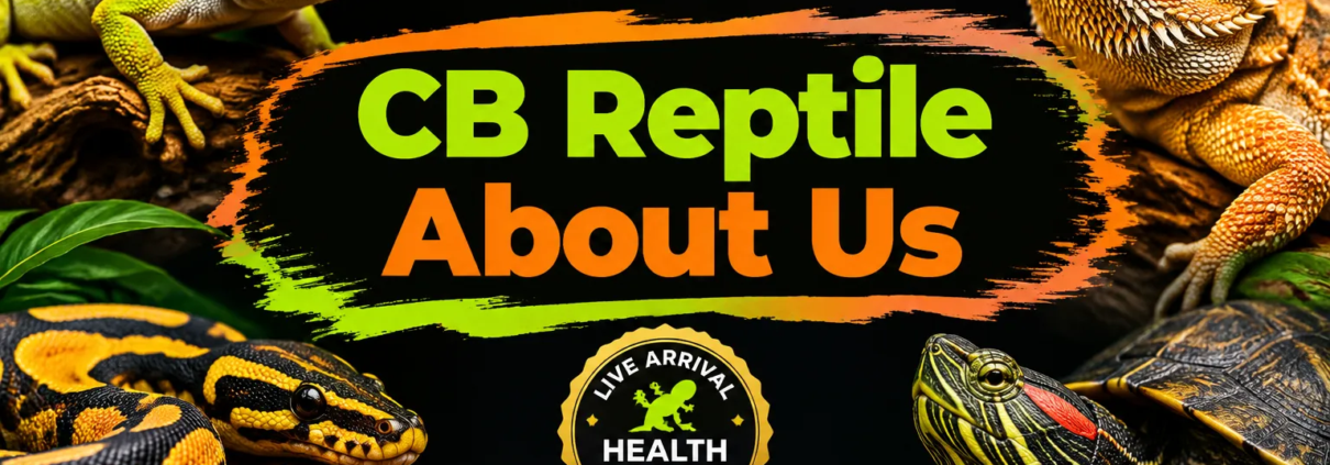 CB Reptile About Us: Meet the Biologist-Run Captive Bred Reptile Breeder Serving Keepers Since 1999